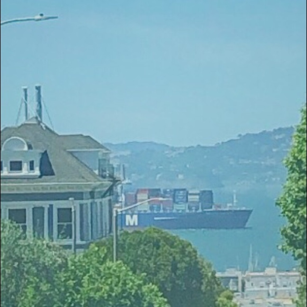 Meet your Posher, Angelina